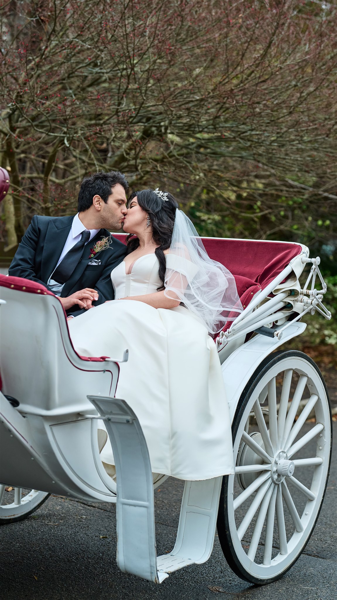 image of a couple in a carriage